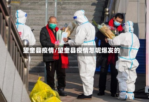 望奎县疫情/望奎县疫情怎呢爆发的