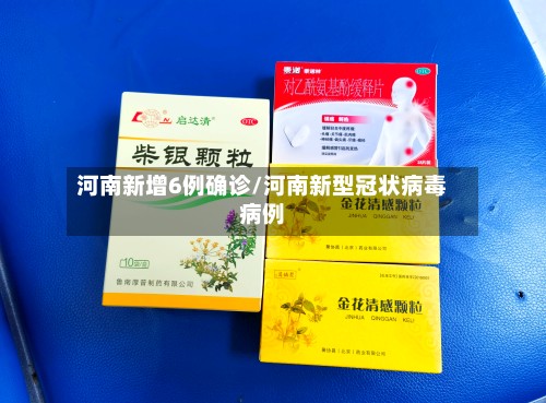 河南新增6例确诊/河南新型冠状病毒病例-第3张图片