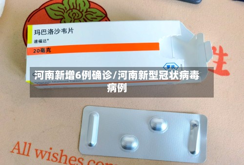 河南新增6例确诊/河南新型冠状病毒病例