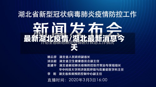 最新湖北疫情/湖北最新消息今天-第3张图片