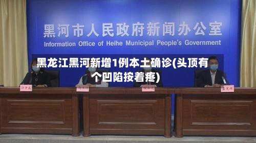 黑龙江黑河新增1例本土确诊(头顶有个凹陷按着疼)-第2张图片