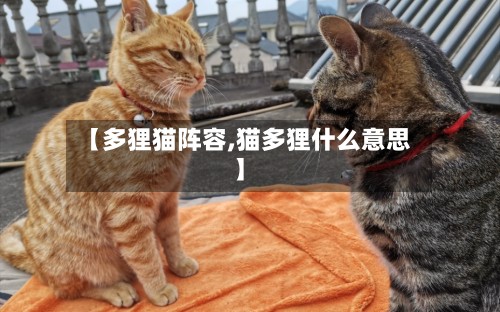 【多狸猫阵容,猫多狸什么意思】